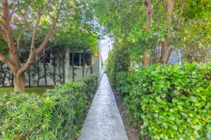 een loopbrug door een tuin met bomen en een gebouw bij Boutique Apartments Flamingo in Miami Beach +3 foto's