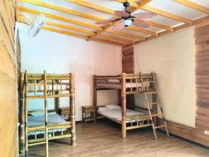 two bunk beds in a room with a ceiling fan at Domi Hostel in Dominical