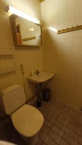 un bagno con un water e un lavandino di Ylläs Nilikammi a Ylläsjärvi Altre 10 foto