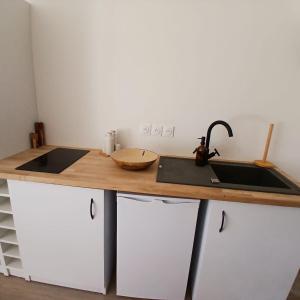 een keuken met een aanrecht met een wastafel en een wastafel bij Appart'Hotel DLOKOKO Sainte Luce centre in Sainte-Luce