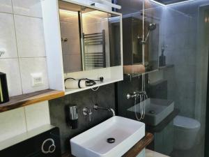 een badkamer met een wastafel, een toilet en een spiegel bij 07 Birkenhain - Hof Wiesengrund in Parchtitz +35 foto's