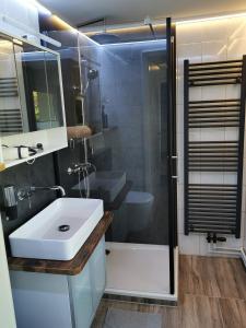 een badkamer met een witte wastafel en een douche bij 07 Birkenhain - Hof Wiesengrund in Parchtitz