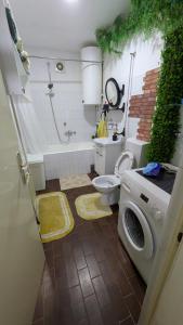 een badkamer met toilet en wasmachine bij apartman Stojković in Petrovac na Mlavi