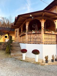 a house with a porch with potted plants on it at Cabana Elena in Borşa