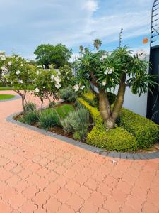 een tuin met bomen en witte bloemen langs een trottoir bij Loreho boutique in Mahikeng