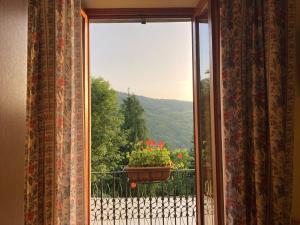 ein Fenster mit einem Blumentopf auf dem Balkon in der Unterkunft B B Regina in Abetone