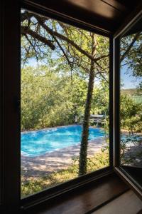 Naturlandskabet i nærheden af feriehuset + 59 billeder