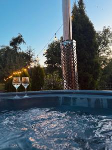 due bicchieri di vino in piscina di Cabana Elena a Borşa