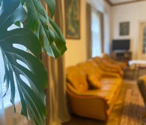 a living room with a couch and a vase with a plant at Uzdrowiskowe Retro by LibertaRent in Szczawno-Zdrój