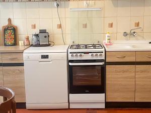 a kitchen with a stove and a sink at Uzdrowiskowe Retro by LibertaRent in Szczawno-Zdrój +25 photos