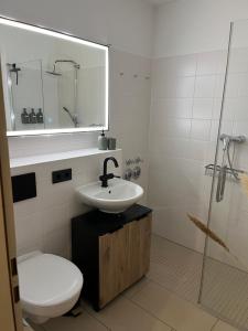 een badkamer met een wastafel, een toilet en een spiegel bij See-Maisonette mit Wellness-Sauna in Öhningen