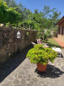 En have udenfor Affittacamere Casa Mac & Rose