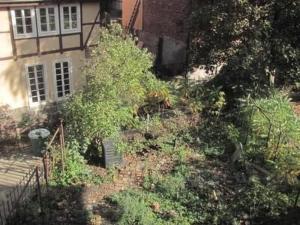 a house with a bunch of bushes in front of it at Apartment Kunst Asyl by Interhome in Quedlinburg