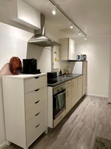 Køkken eller tekøkken på Aurora Stay - Cozy studio apartment