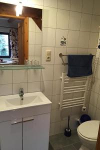 a bathroom with a sink and a toilet and a mirror at Apartment Kastanienblick by Interhome in Ziethen +10 photos