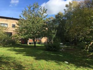 a tree in a yard next to a building at Apartment Kastanienblick by Interhome in Ziethen