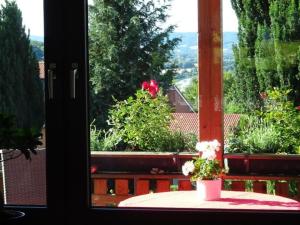 a window view of a garden with a flower pot at Apartment Jakobs by Interhome in Vlotho