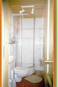 a bathroom with a toilet and a shower at Holiday Home mit Bergblick by Interhome in Ilfeld