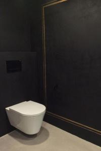 a white toilet in a bathroom with a shower at Apartment Kleines Loft by Interhome in Gais +16 photos