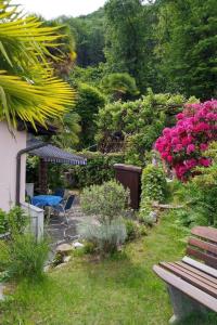 a garden with a bench and pink flowers and bushes at Apartment Casa Barbara by Interhome in Piazzogna
