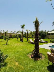 a park with palm trees and a swimming pool at Villa Hasard Marrakech in Had Abdallah Rhiat