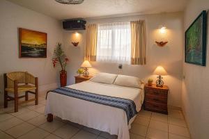 埃斯孔迪多港Hotel Zandoyo Bed & Breakfast的一间卧室，里面有一张床、一把椅子和一扇窗户。