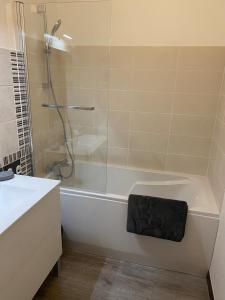 ein Badezimmer mit einer Dusche und einer weißen Badewanne in der Unterkunft Au pied des quais avec balcon in Auxerre + 1 Foto
