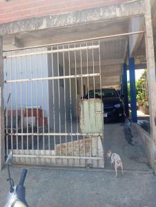 un chat en cage dans un garage dans l'établissement Casa próximo a praia do morro, à Guarapari 5 autres photos
