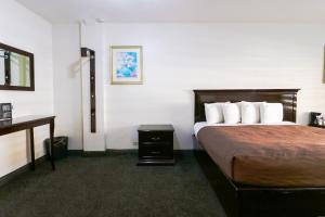 a hotel room with a bed and a desk at HOTEL BUGAMBILIAS in Ensenada