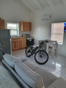 Bella Blus Villa的一辆自行车放在客厅的沙发上