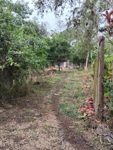 een onverharde weg met een hek en bomen bij La Loma in Bellavista