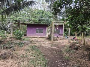 a purple house in the middle of a forest at La Loma in Bellavista