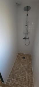 een douche in een kamer met een tegelvloer bij La maison du saule in Yves +9 foto's