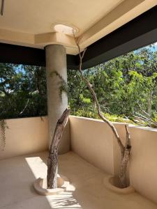 eine Veranda mit einer Säule und zwei Bäumen darauf in der Unterkunft Calakmul Tulum in Cedro
