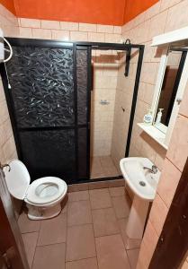 een badkamer met een douche, een toilet en een wastafel bij el rincon de roma in Puerto Iguazú