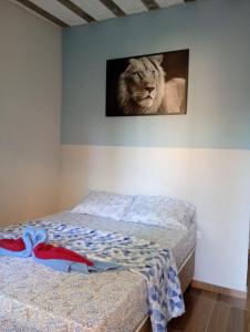 un letto con la foto di un gatto sul muro di Recanto Antônio Costa a Parati