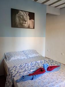 una camera con letto e foto di un leone di Recanto Antônio Costa a Parati