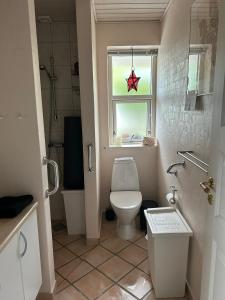 GlesborgにあるBlomsterhavenのトイレと窓のあるバスルーム +10枚の写真