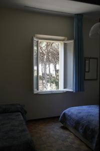 a bedroom with a window with a tree outside at Il giaguaro in Vada