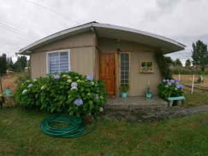 En have udenfor Ayekantun