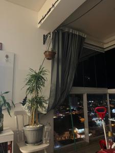 Billede fra billedgalleriet på Ap Alto São Bento i Itapema