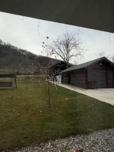 un piccolo albero in un campo vicino a un edificio di Valmaris a Râmnicu Vâlcea
