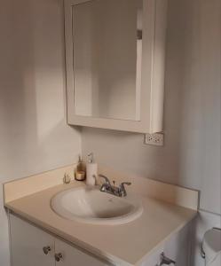 un lavandino in bagno con specchio e armadietto di New Cozy Entire home 2 Bedroom- AC, Wifi, 24 hour Security in Private Gated Community a Old Harbour