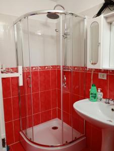 a red tiled bathroom with a shower and a sink at Apartament Adelina Borsa in Borşa