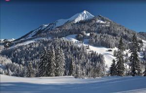 Nespecifikovaný výhled na hory nebo výhled na hory při pohledu z hotelu