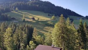 Příroda nedaleko hotelu + 1 fotografie