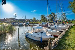 a group of boats docked in a harbor at Ostseenest Bernstein in Kölpinsee