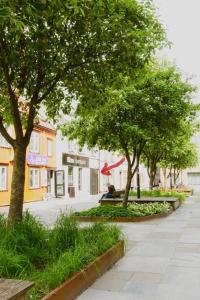 Fotografie z fotogalerie ubytování Penthouse apartment 1 bedroom and 1 sofa bed v destinaci Trondheim