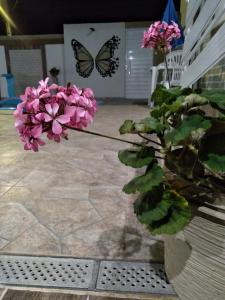 Afbeelding uit fotogalerij van Recanto do Salvador in Garanhuns