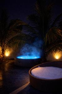 vue nocturne d'une piscine avec des palmiers dans l'établissement A Casa Paradisíaca ll Luxo Piscina Super Quente até 50 graus Aquecimento Elétrico e Solar Casa com Sauna a Vapor e Ar Condicionado em Todos Ambientes e Lavanderia com Roupa de Cama e Banho e Ofurô Super Quente , Temos Lareira , Com Valores adicionais, à Caldas Novas